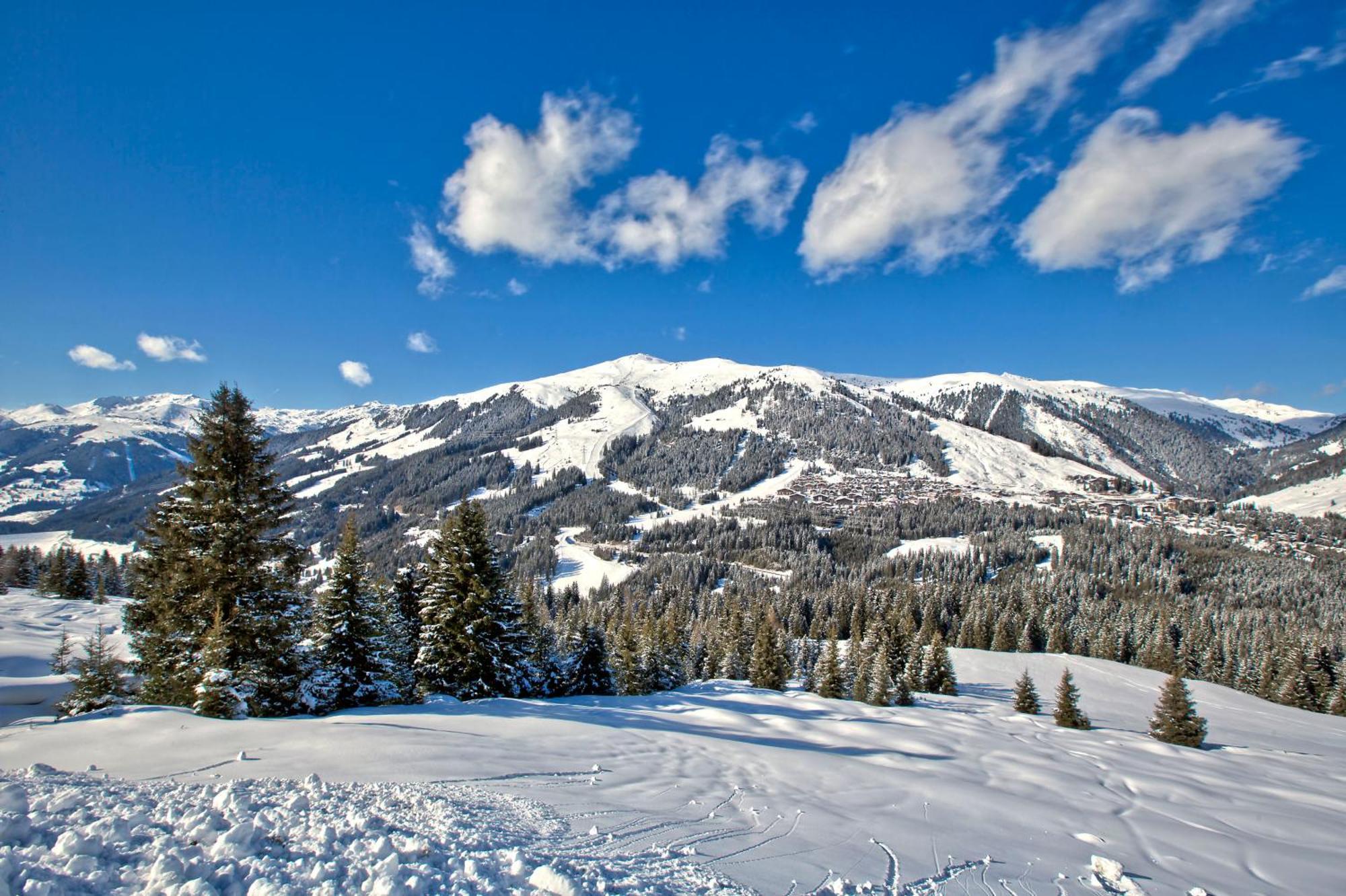 Apartment Bacher Wald im Pinzgau Eksteriør bilde